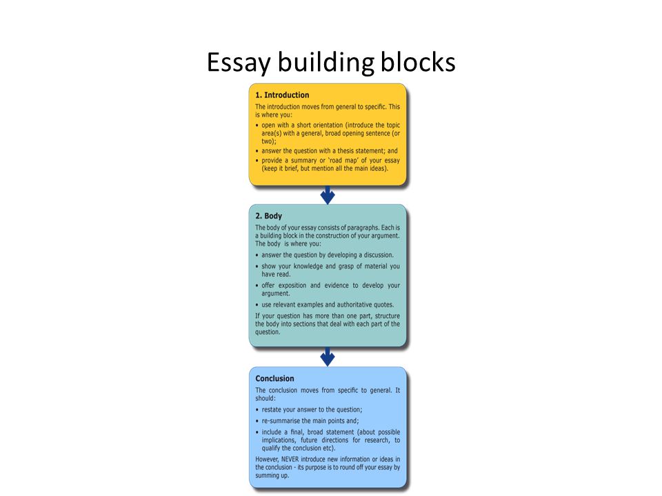 The building blocks of language essay